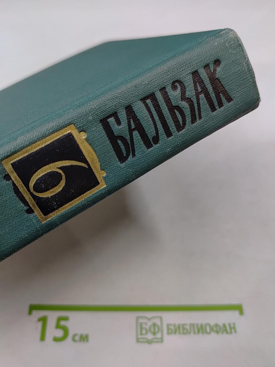 Сцены провинциальной жизни. Том VI (из Собрания сочинений)