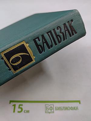 Сцены провинциальной жизни. Том VI (из Собрания сочинений)