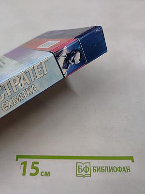 Стратег. Схватка