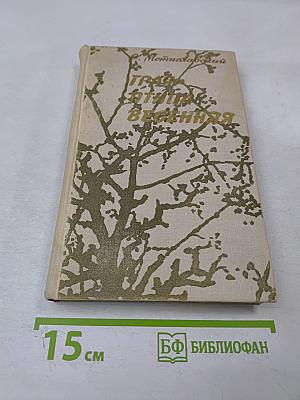 Грач - птица весенняя