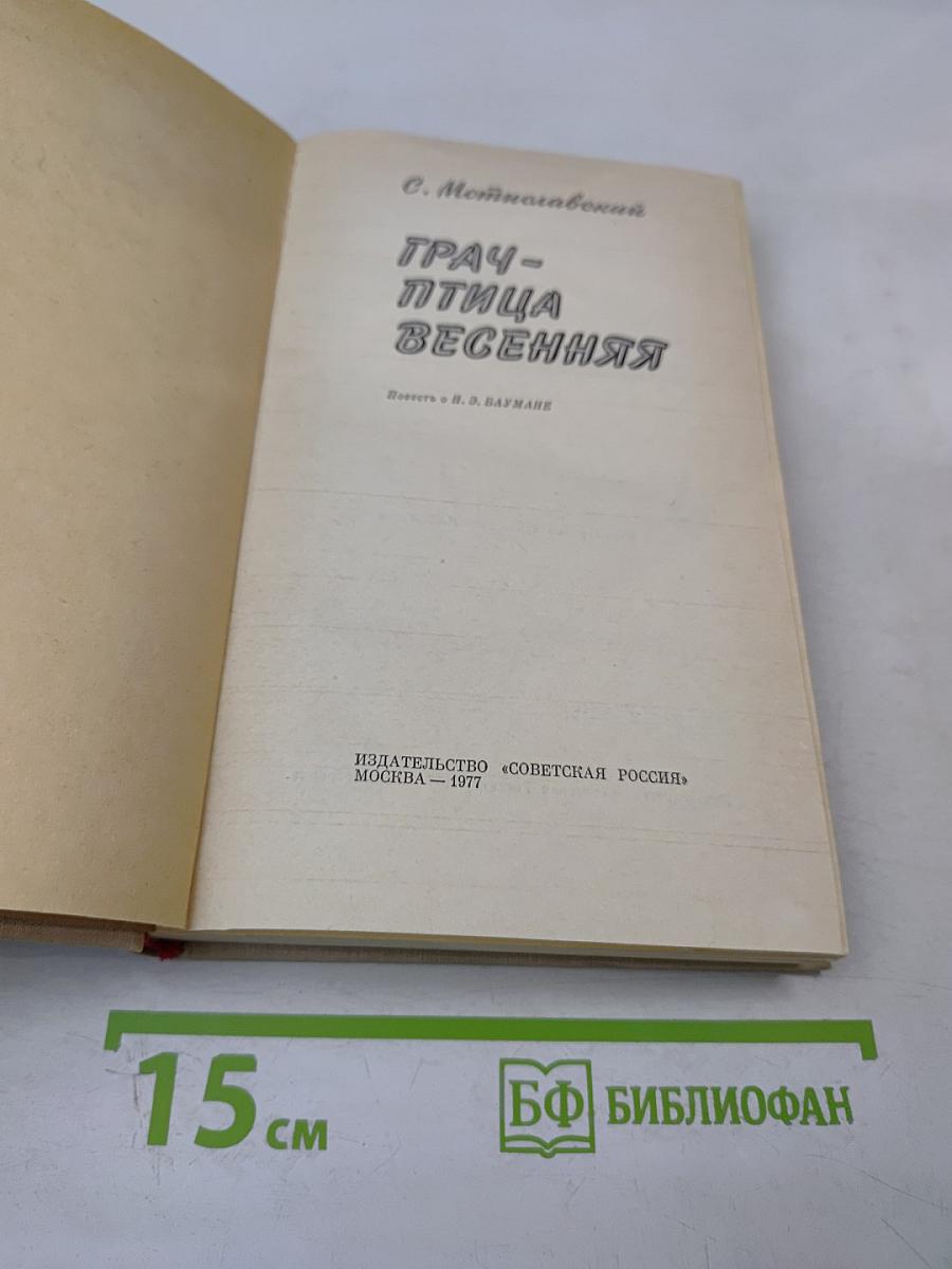 Грач - птица весенняя