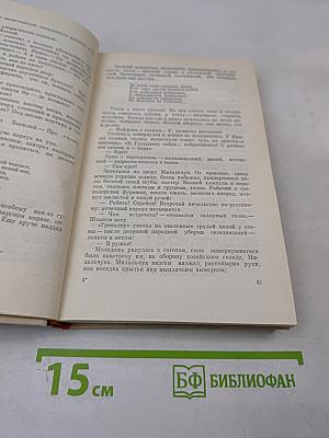 Грач - птица весенняя