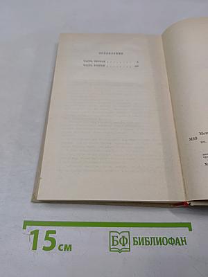 Грач - птица весенняя