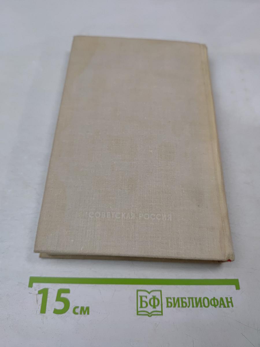 Грач - птица весенняя