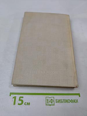 Грач - птица весенняя