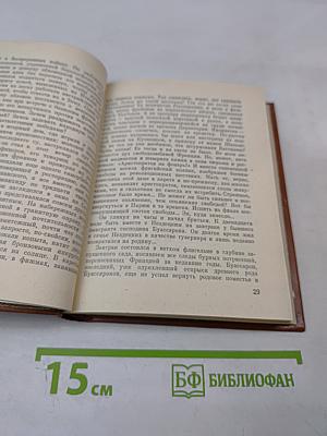 Так затихает Везувий