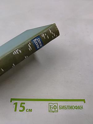 Собрание сочинений. Том третий. Стихотворения и поэмы (1924-1925)