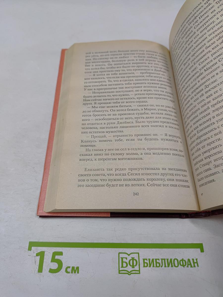 Великие женщины в романах. Елизавета I