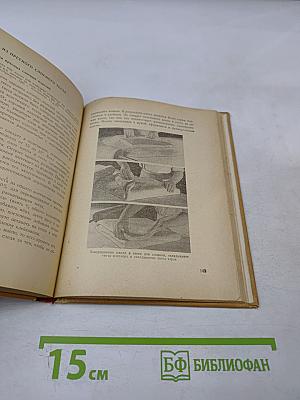 Изделия из теста