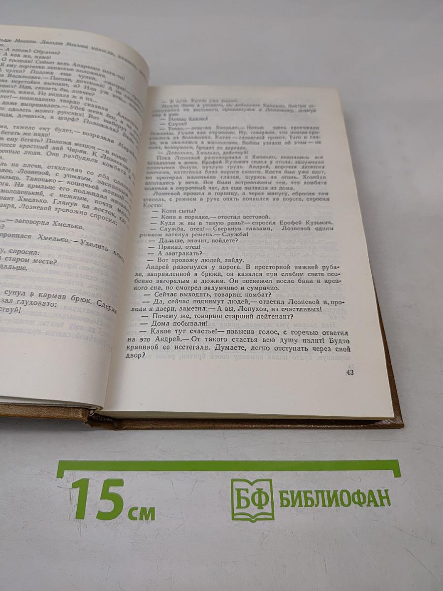 Белая береза