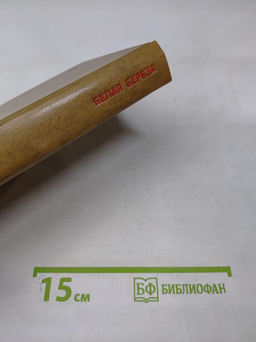 Белая береза