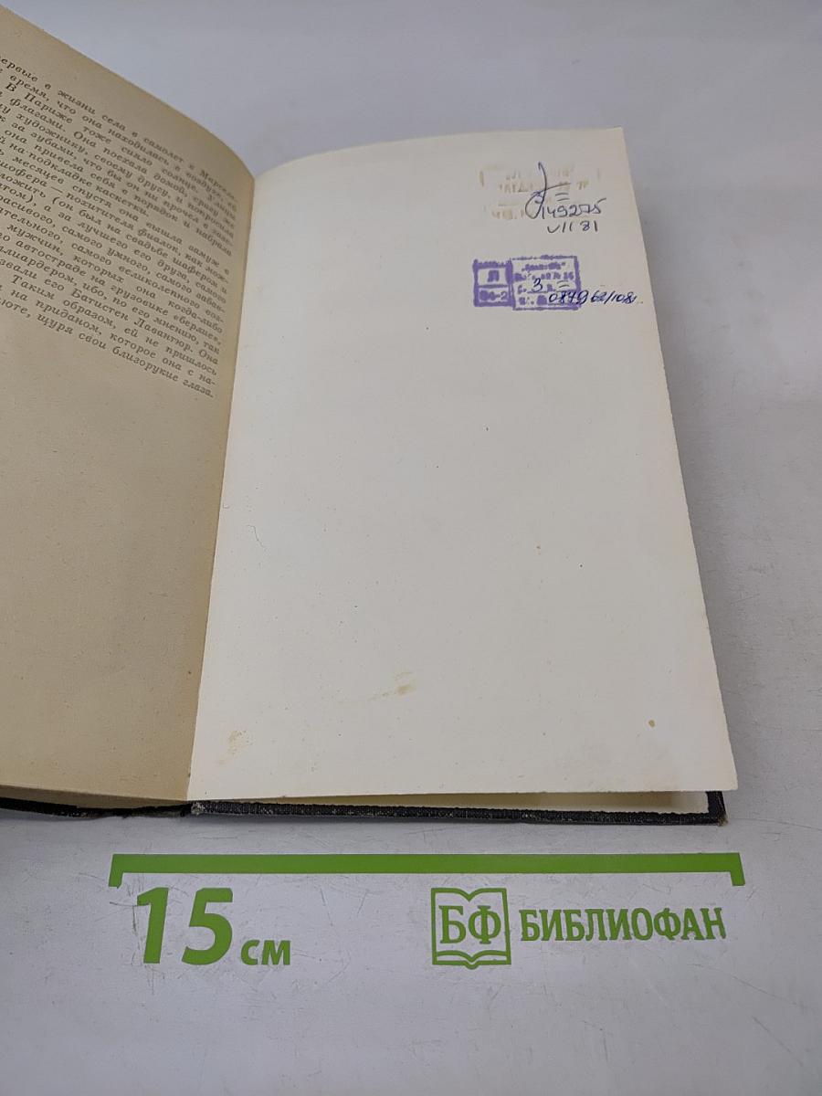 Современный французский детектив