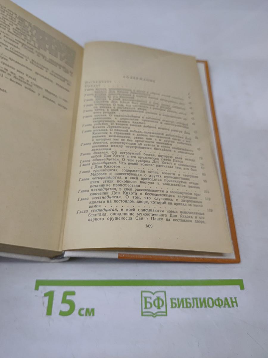 Дон Кихот Ламанчский. Часть первая
