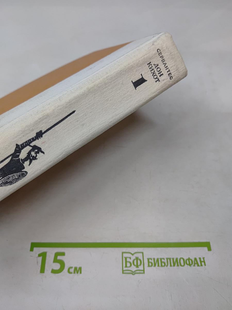 Дон Кихот Ламанчский. Часть первая