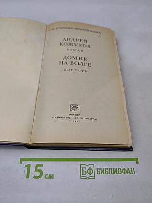 Андрей Кожухов. Домик на Волге