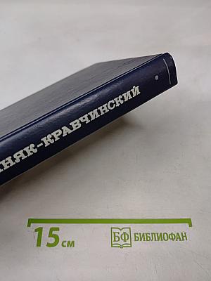 Андрей Кожухов. Домик на Волге