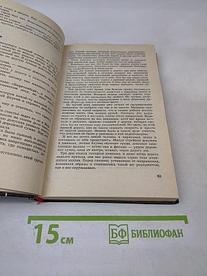 Эстонская молодая проза