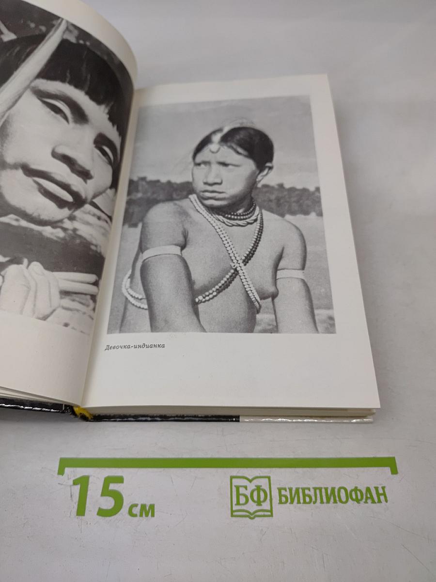 Медное солнце