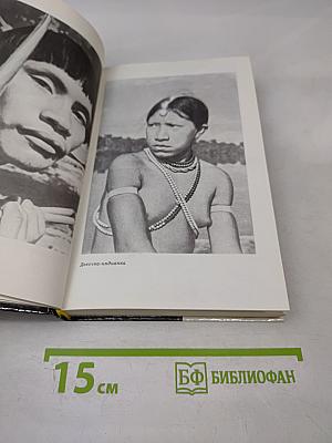 Медное солнце