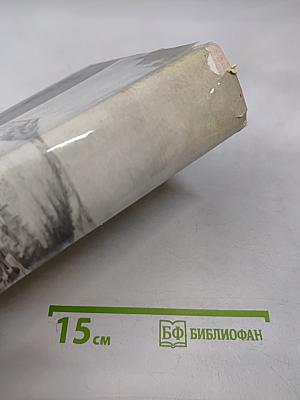 Художник-декабрист Николай Бестужев