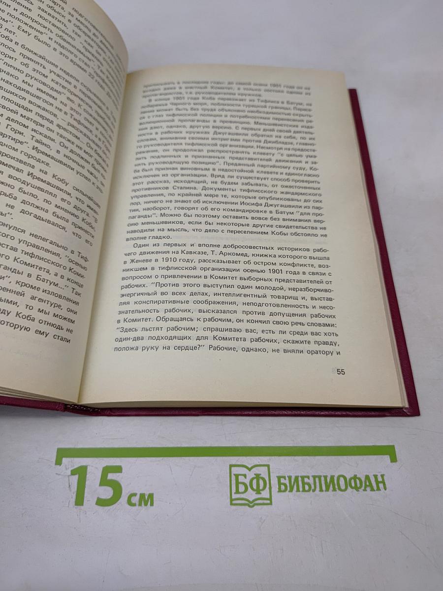 Сталин. Том 1