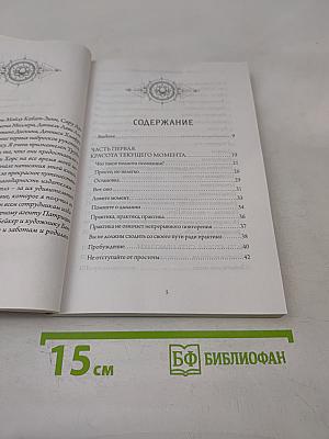 Куда бы ты ни шел – ты уже там. Осознанная медитация в повседневной жизни