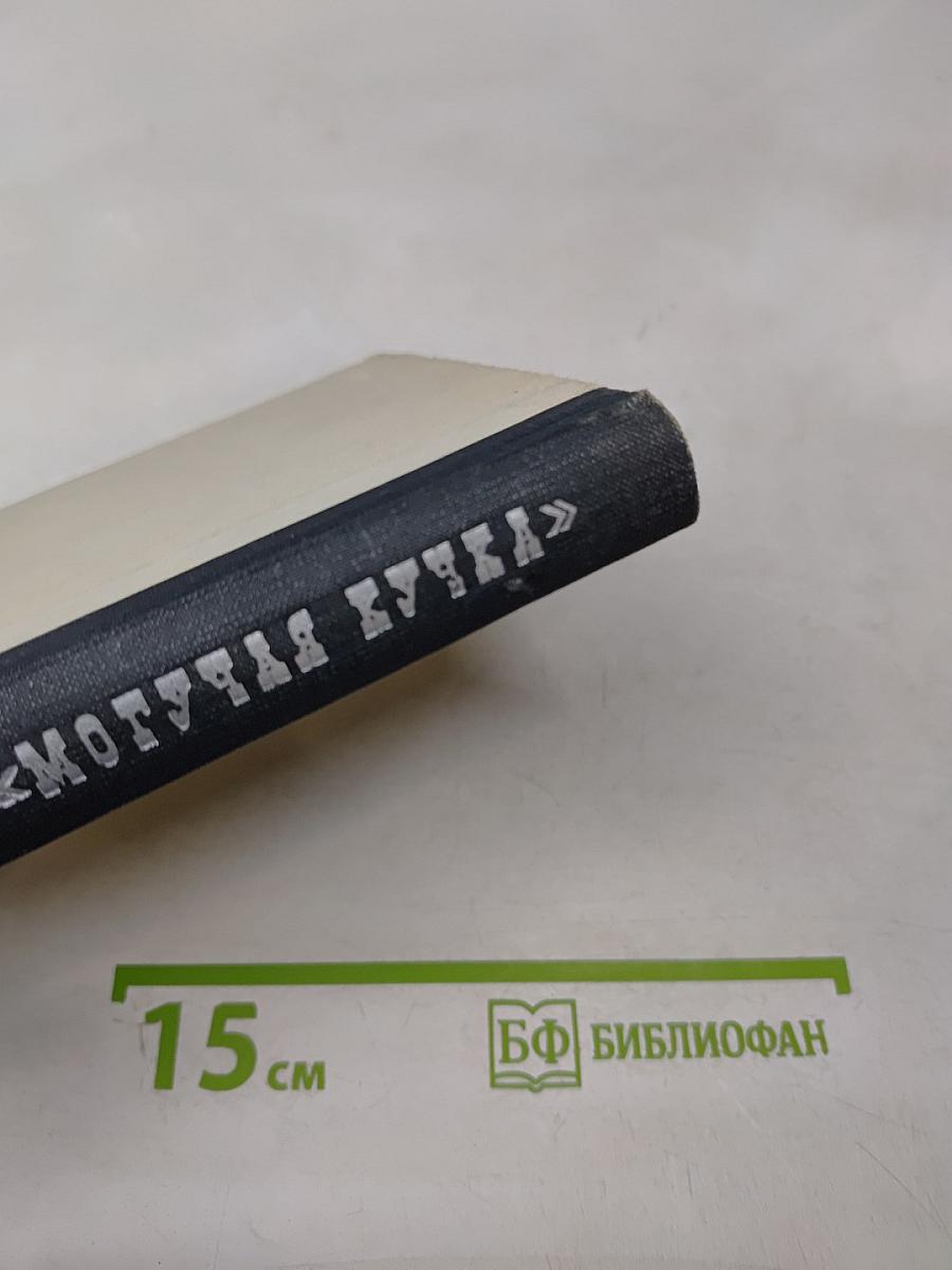 Могучая Кучка: Страницы истории петербургского кружка музыкантов