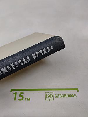 Могучая Кучка: Страницы истории петербургского кружка музыкантов