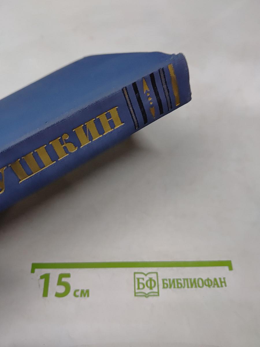 Полное собрание сочинений. Том 5