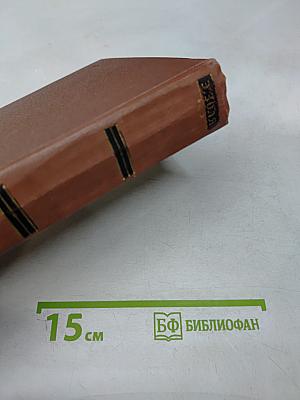 Карьера Ругонов. Добыча. Том 1