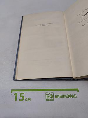 Обрыв. Том шестой