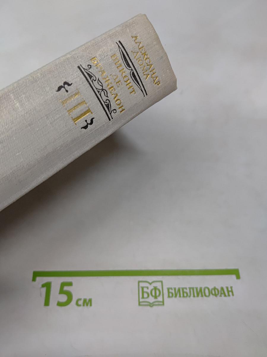 Виконт де Бражелон, или Десять лет спустя - III. Части 5, 6