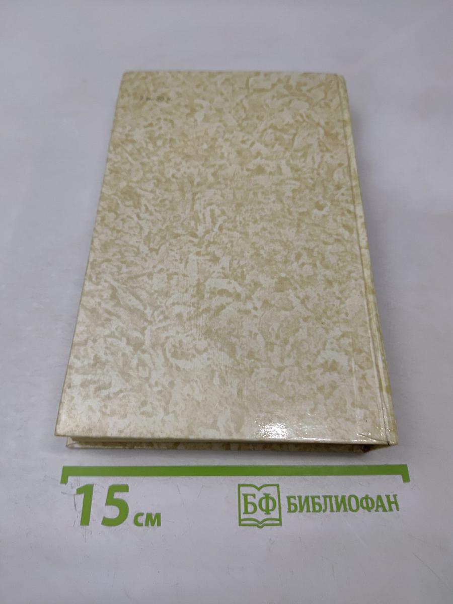 К последнему морю. Юность полководца