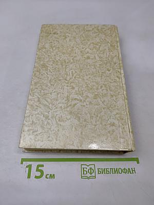 К последнему морю. Юность полководца