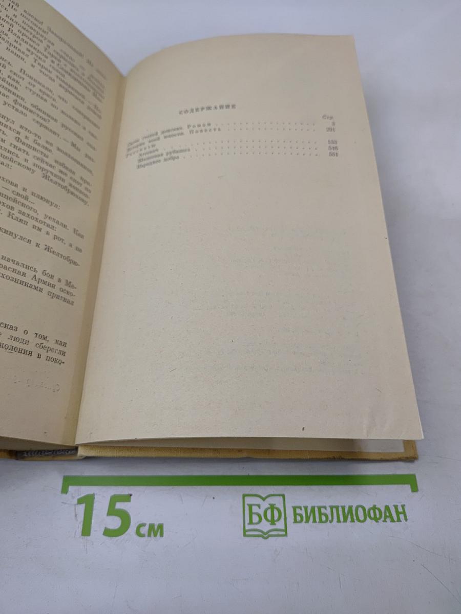 Сыны степей донских