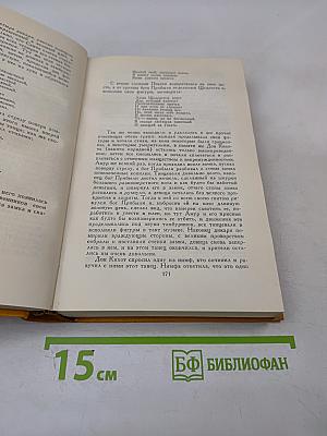 Дон Кихот Ламанчский. Том второй