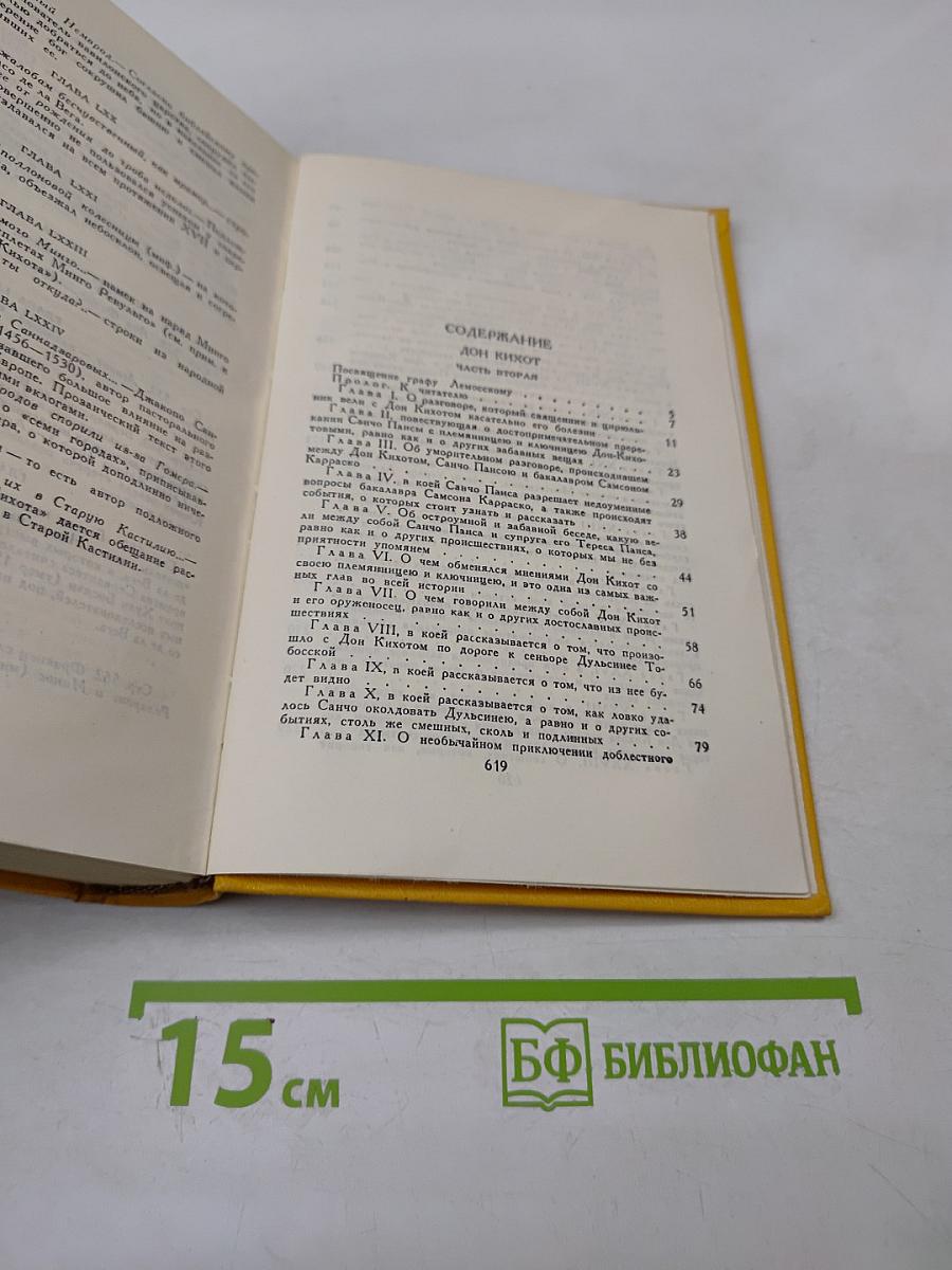 Дон Кихот Ламанчский. Том второй