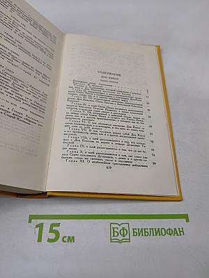 Дон Кихот Ламанчский. Том второй