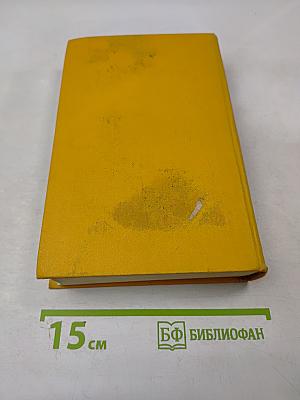 Дон Кихот Ламанчский. Том второй