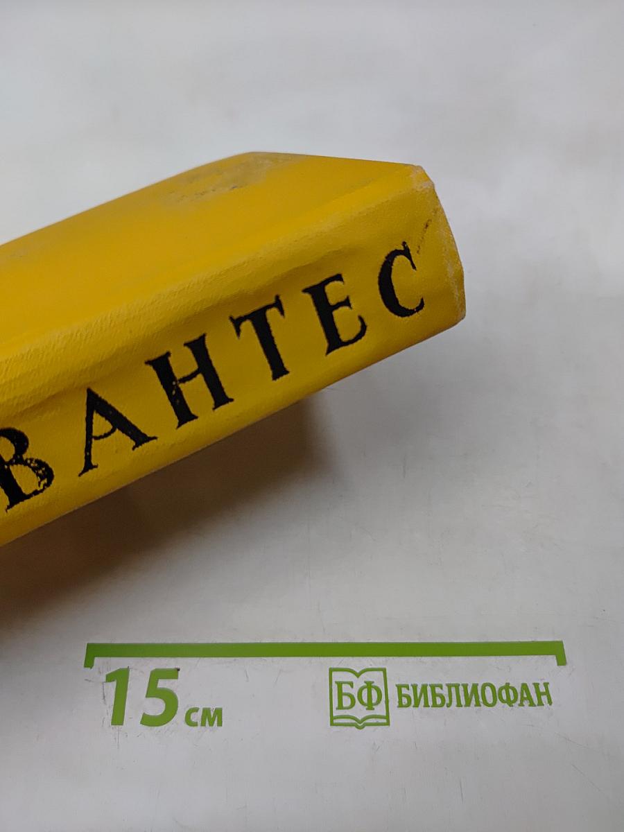 Дон Кихот Ламанчский. Том второй