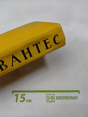 Дон Кихот Ламанчский. Том второй