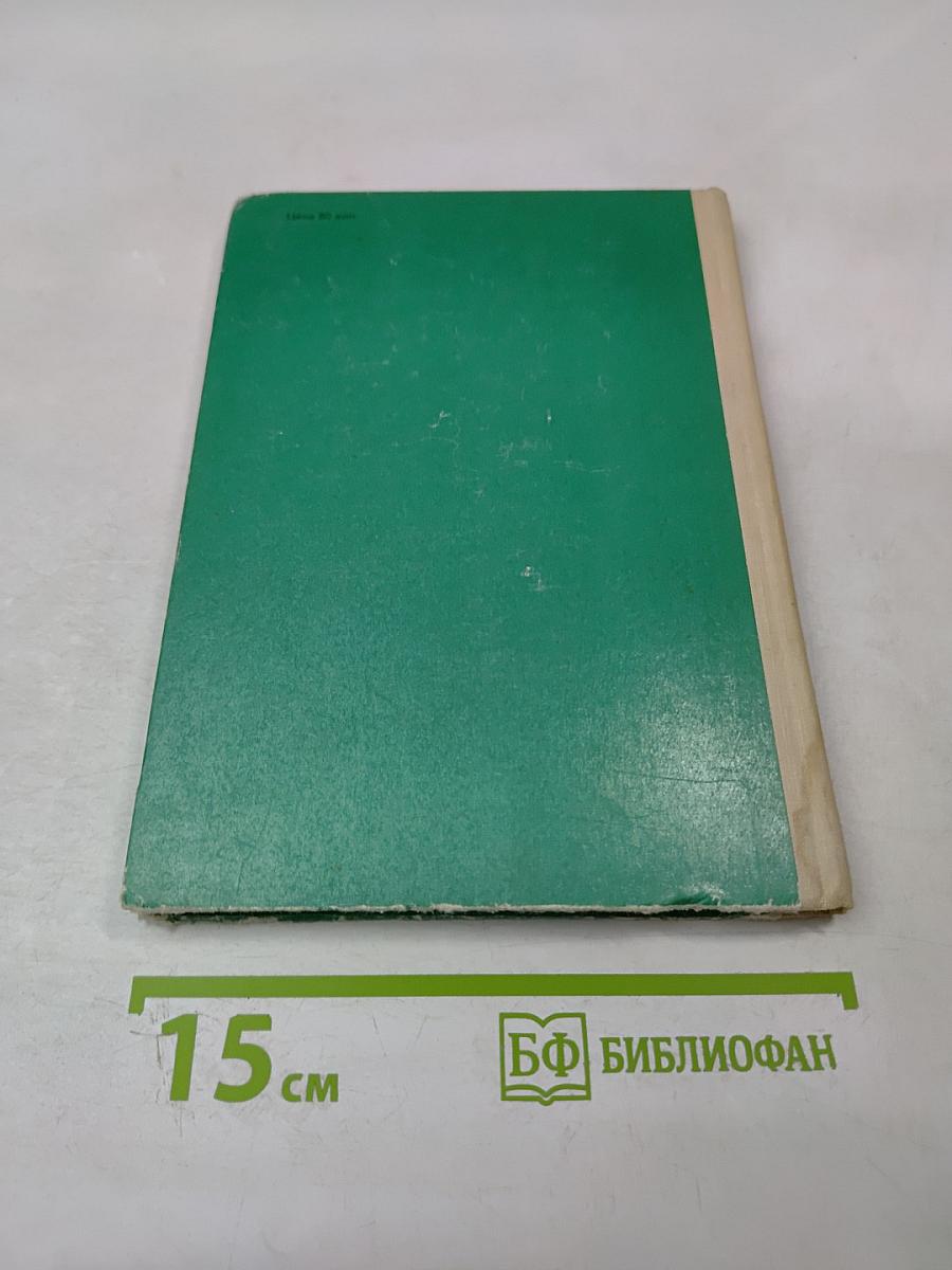 Бородинское пробуждение