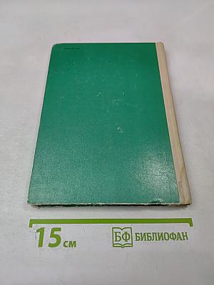 Бородинское пробуждение