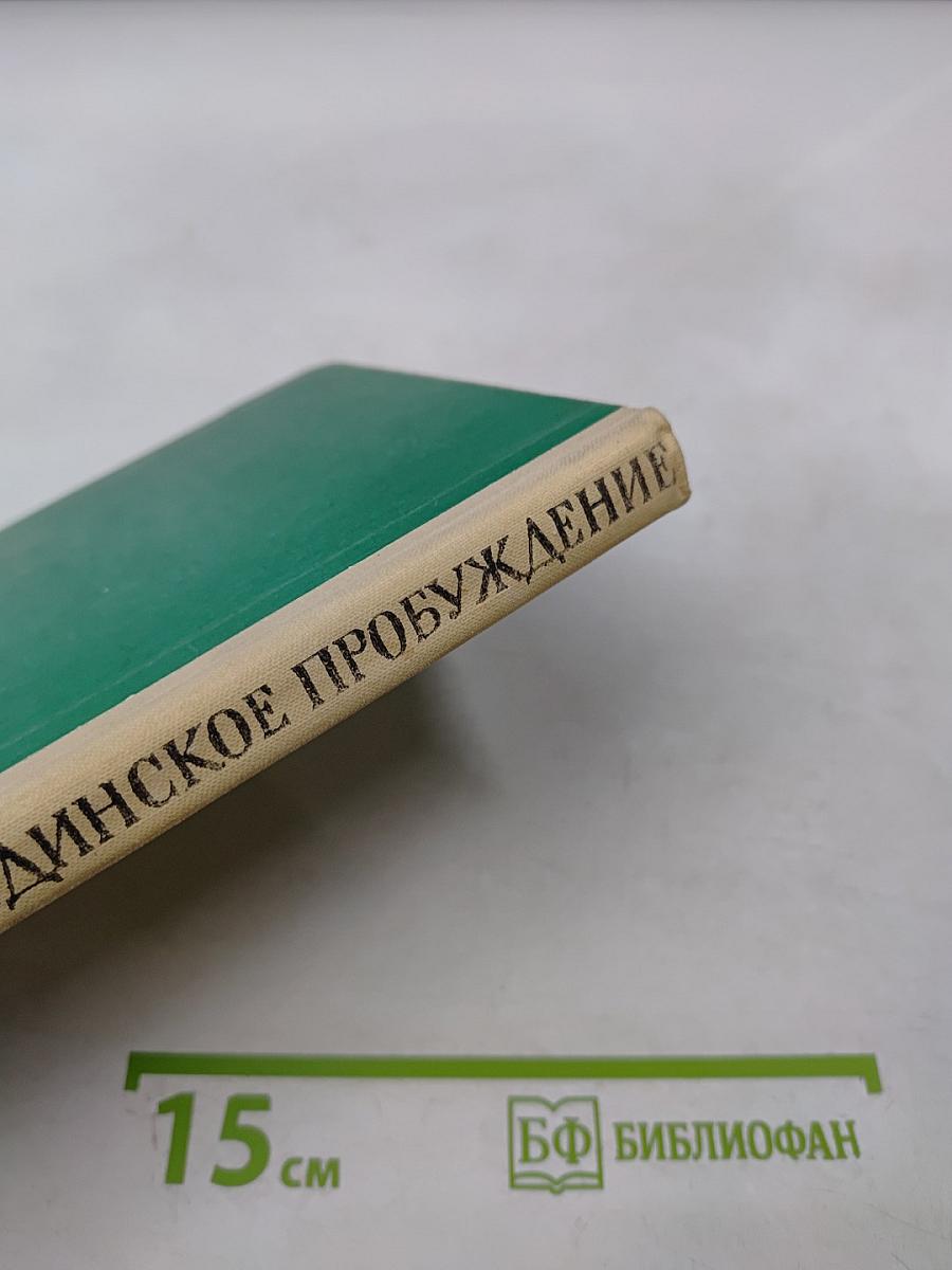 Бородинское пробуждение