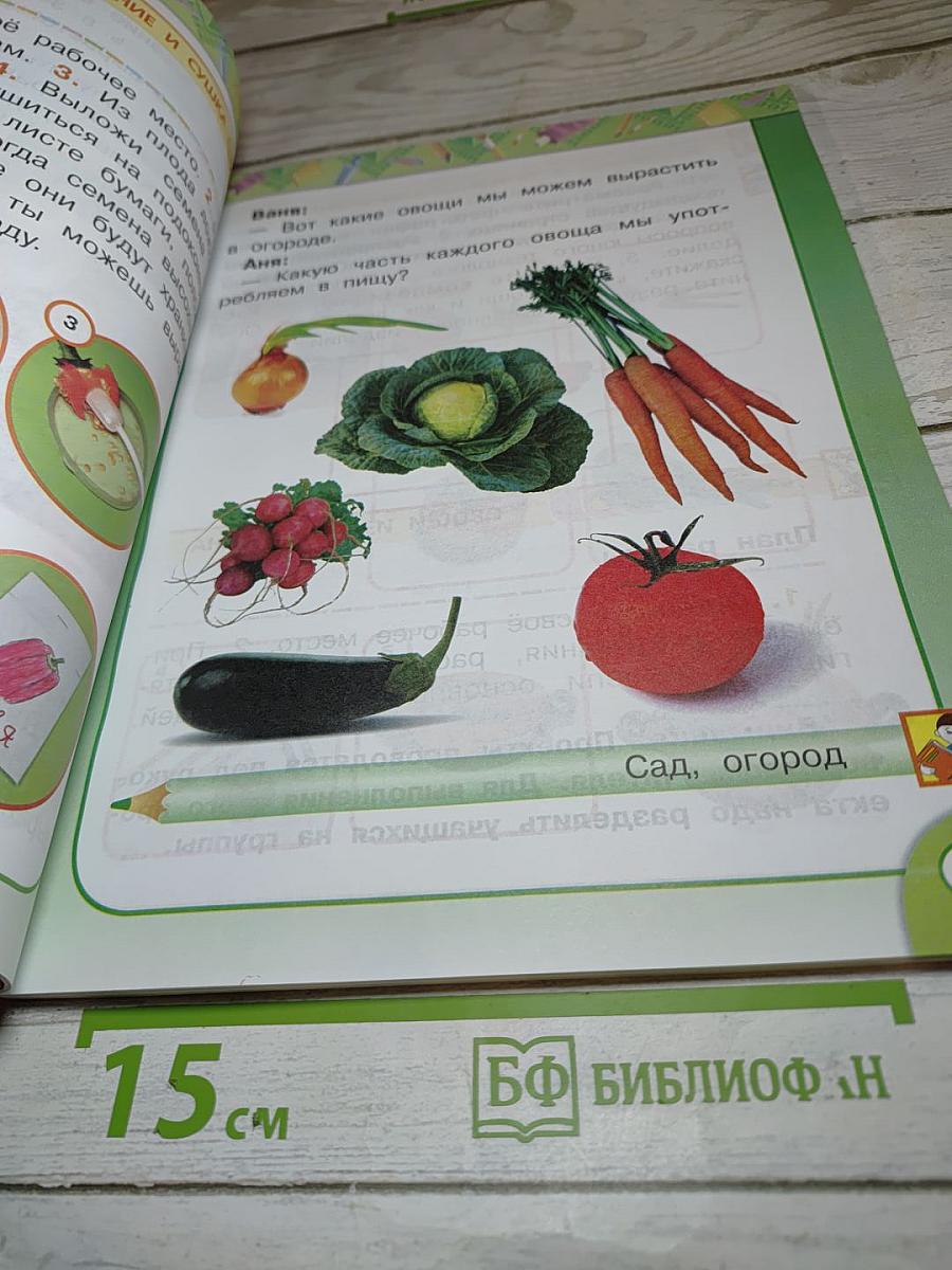 Технология 1 класс