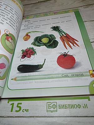 Технология 1 класс