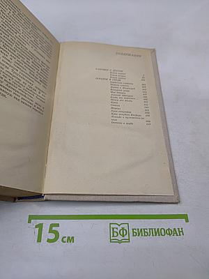 Осколок в груди. Повести и рассказы