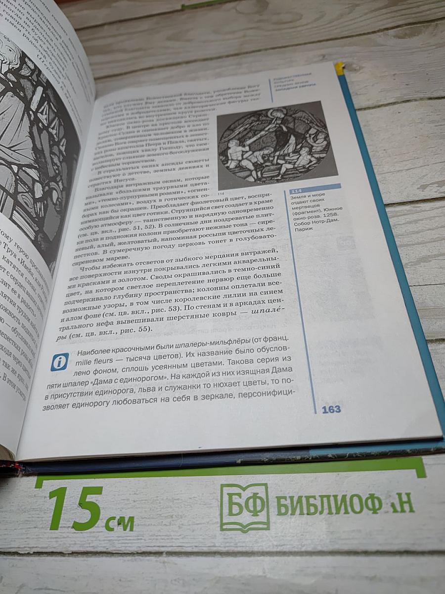 Мировая художественная культура: Учебник для 10 класса (Базовый уровень)
