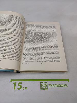 Шаляпин в Петербурге - Петрограде