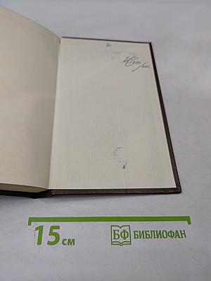 Как Гитлер пришел к власти